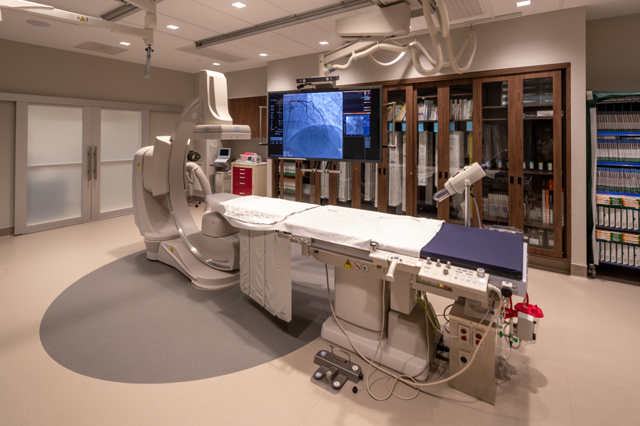 Vital_Heart__Vein_11.jpg